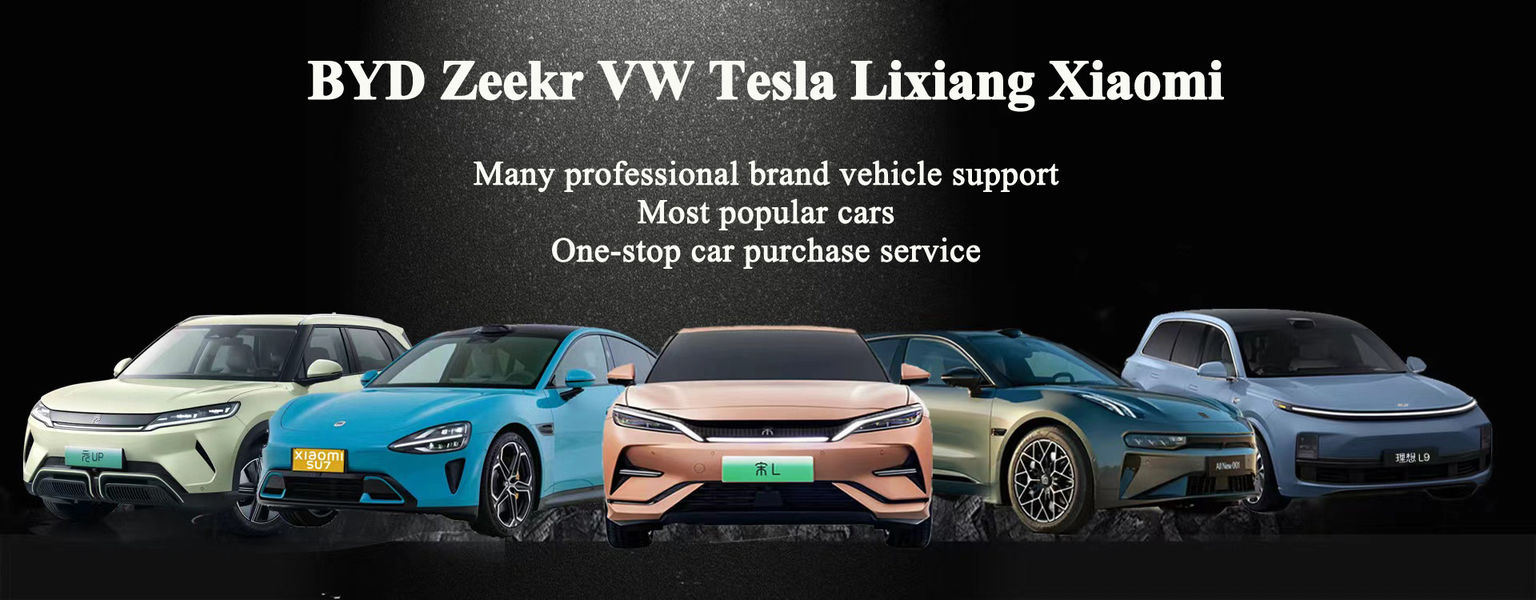 中国 最もよい 電気suv 販売