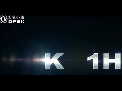 EU証明書 dfsk K01H LHD